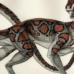 Meet your Posher, Michaela